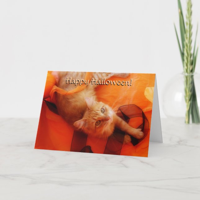 Halloween Cat Card Karte (Vorderseite)