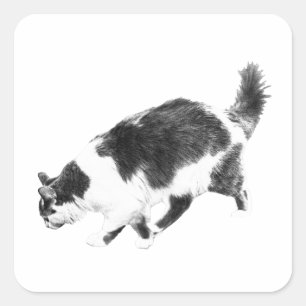 Halloween Cat in Black Lines Quadratischer Aufkleber