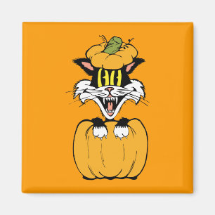 Halloween Cat Magnet