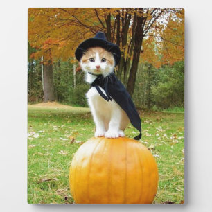 Halloween Cat on Orange Pumpkin Fotoplatte