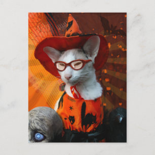 Halloween Cat Postkarte