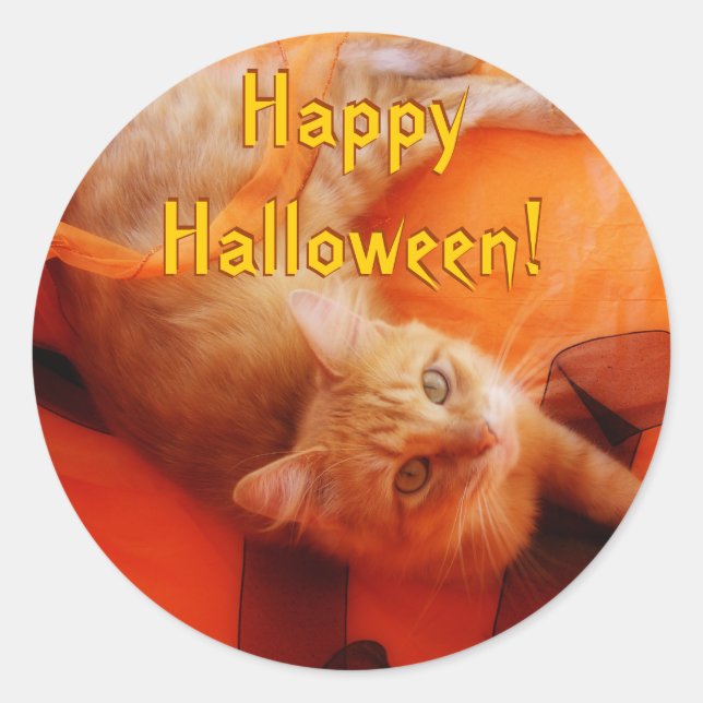 Halloween Cat Stickers (Vorderseite)