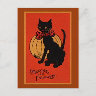 Halloween Cat und Pumpkin Postkarte