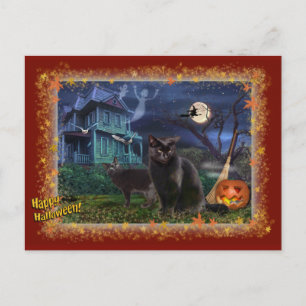 Halloween Cats Postkarte