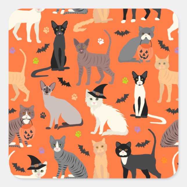 Halloween Cats Quadratischer Aufkleber (Vorderseite)
