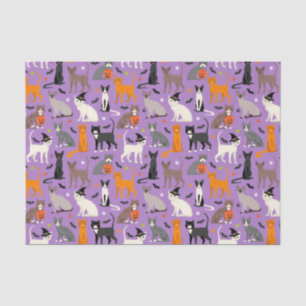 Halloween Cats Tissue Paper Seidenpapier