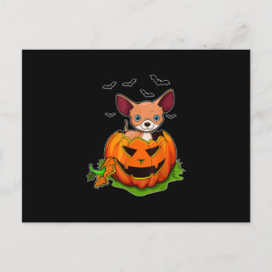 Halloween Chihuahua Dog Lovers Pumpkin Grunge Jack Feiertagspostkarte