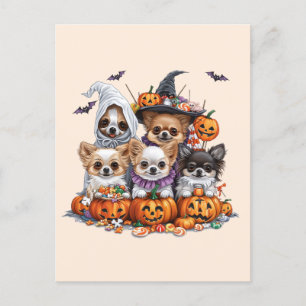 Halloween Chihuahua Dogs Postkarte