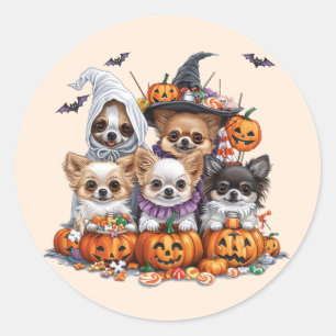 Halloween Chihuahua Dogs Runder Aufkleber