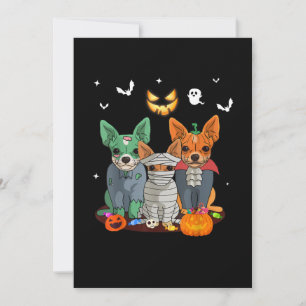 Halloween Chihuahua Hund Hexe Niedliche Geschenkgu Ankündigung
