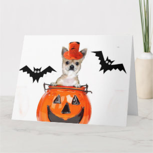 Halloween-Chihuahuahund Karte