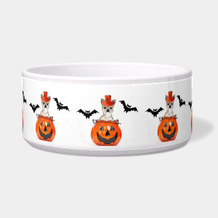 Halloween-Chihuahuahund Napf
