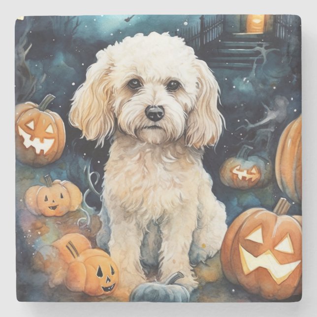 Halloween Cockapoo mit Kürbissen Gruselig Steinuntersetzer (Vorderseite)