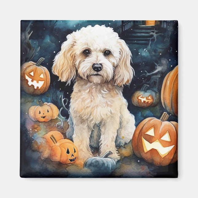 Halloween Cockapoo mit Pumpkins Beängstigend Magnet (Vorne)