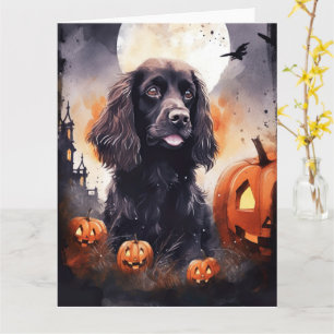 Halloween-Cocker-Spaniel mit Kürbissen  Karte