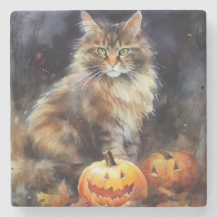 Halloween-Coon-Katze mit Pumpkins Beängstigend Steinuntersetzer