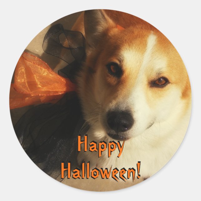Halloween Corgi Stickers (Vorderseite)