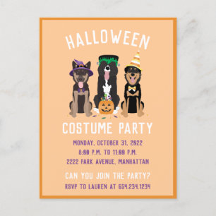 Halloween Costume Party Hunde Einladungspostkarte