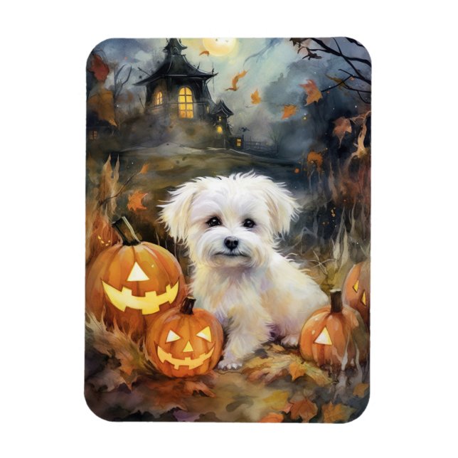 Halloween Coton De Tulear mit Pumpkins Beängstigen Magnet (Vertikal)