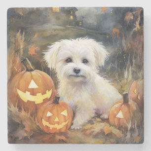 Halloween Coton De Tulear mit Pumpkins Beängstigen Steinuntersetzer