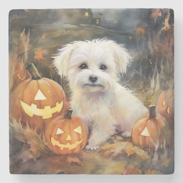Halloween Coton De Tulear mit Pumpkins Beängstigen Steinuntersetzer (Vorderseite)