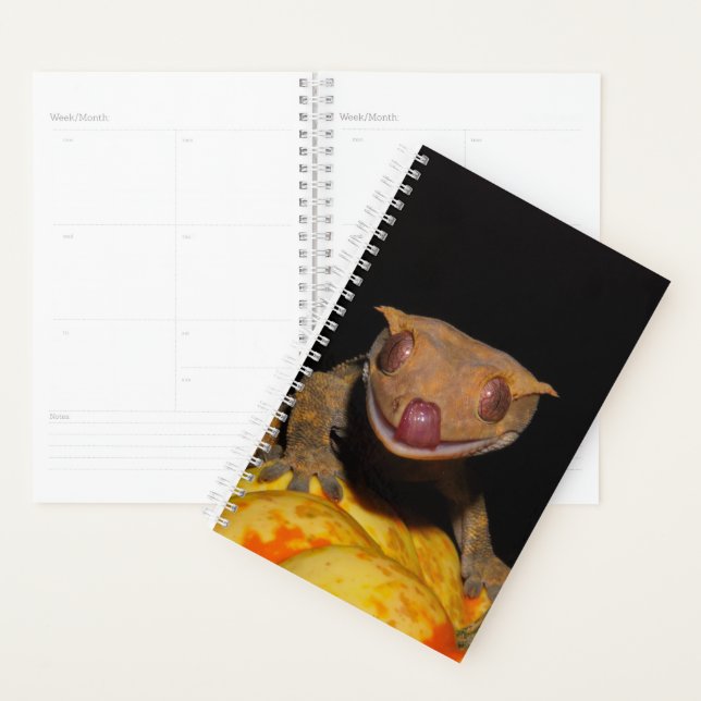 Halloween Crested Gecko Planer (Anzeige)