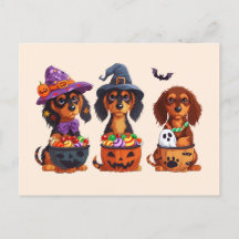 Halloween Dackel Hunde Pumpkin Candy Bucket