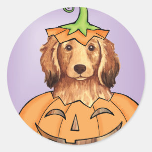 Halloween-Dackel Runder Aufkleber