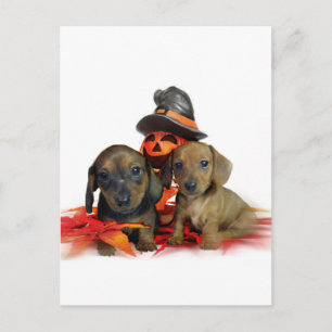 Halloween-Dackel-Welpen Postkarte