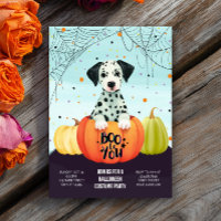 Halloween Dalmatiner Pumpkin Niedlich Dog Kostüm P
