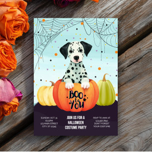 Halloween Dalmatiner Pumpkin Niedlich Dog Kostüm P Einladung