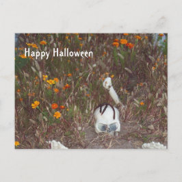 Halloween Decoration Fake Skeleton in Marigolds Postkarte