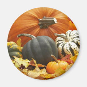 Halloween-Dekoration Magnet