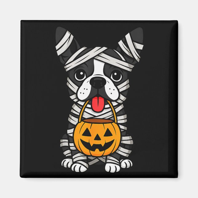 Halloween Dog Boston Terrier Mummy Costume Men Wom Magnet (Vorne)