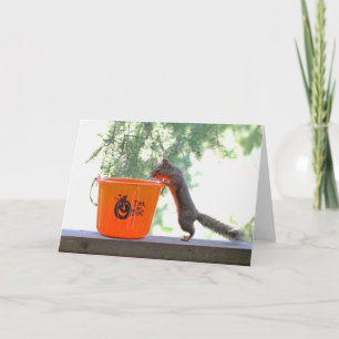 Halloween-Eichhörnchen Karte