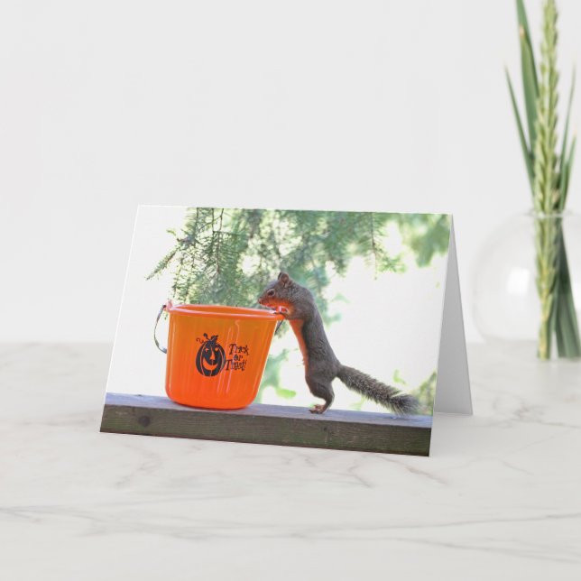 Halloween-Eichhörnchen Karte (Vorderseite)