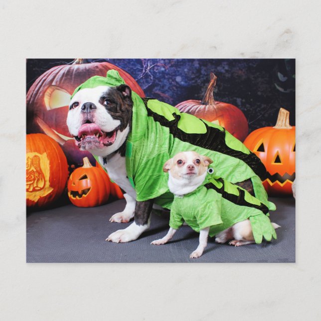 Halloween English Bulldog Spike - Chihuahua Gizmo Postkarte (Vorderseite)