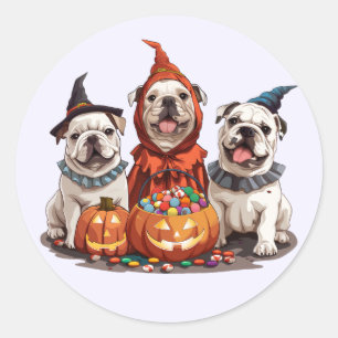 Halloween English Bulldogs Pumpkin Runder Aufkleber