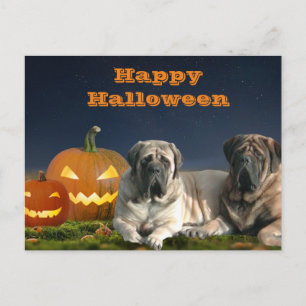 Halloween English Mastiff Happy Halloween Postkarte