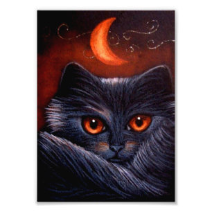HALLOWEEN-FANTASIE SCHWARZE KATZE & ORANGER MOND D FOTODRUCK