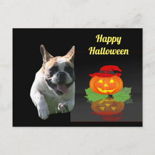 Halloween französische Bulldogge French Bulldog Postkarte