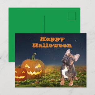 Halloween französische Bulldogge Postkarte