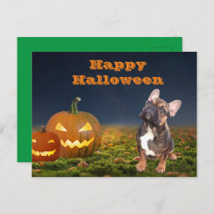 Halloween französische Bulldogge Postkarte