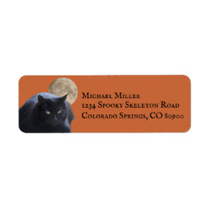 Halloween Full Moon Black Cat