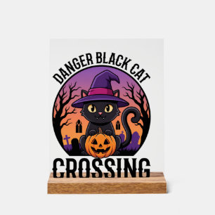 Halloween Gefahr Schwarze Katze Überquerung Acrylschild