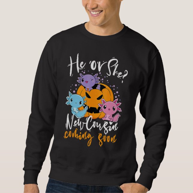 Halloween Gender Reveal He Or She Cousin Coming Bo Sweatshirt (Vorderseite)