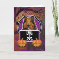 Halloween - gerade ein Lil gespenstisch - Collie -