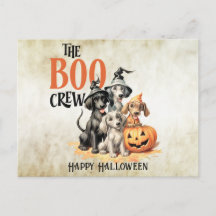Halloween Gruselige Boo Hunde Crew Orange Kürbis