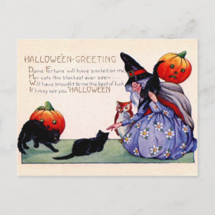 Halloween-Grüße von der Hexe, Eule und Katzen Postkarte