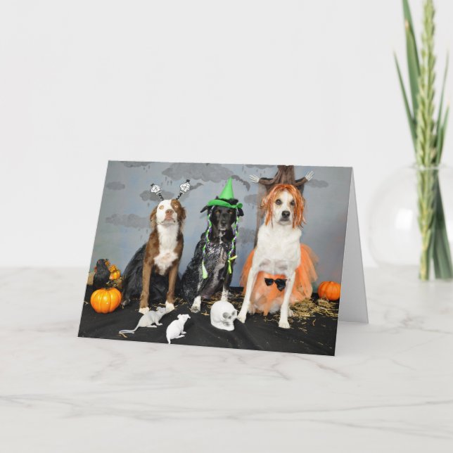 Halloween Grußkarte. Foto, 3 Hunde ziehen. Karte (Vorderseite)
